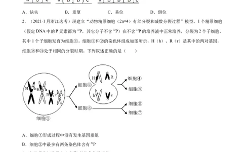 专题03细胞的生命历程-十年（2012-2021）高考生物真题分项汇编（全国通用）（原卷版）_高考真题分类汇编(2012-2022)生物_高考真题分项汇编(2012-2021)生物