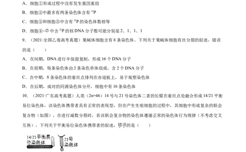 专题03细胞的生命历程-十年（2012-2021）高考生物真题分项汇编（全国通用）（原卷版）_高考真题分类汇编(2012-2022)生物_高考真题分项汇编(2012-2021)生物