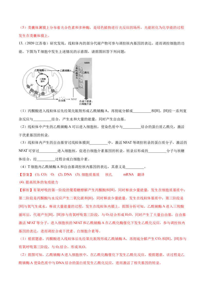 专题01细胞的组成与结构-十年（2012-2021）高考生物真题分项汇编（全国通用）（解析版）_高考真题分类汇编(2012-2022)生物_高考真题分项汇编(2012-2021)生物