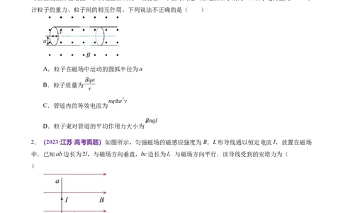 专题10磁场带电粒子在磁场中的运动（练习）（原卷版）_新高考复习资料_2024新高考复习资料_二轮复习资料_2024年高考物理二轮复习讲练测（新教材新高考）_配套练习（原卷版+解析版）