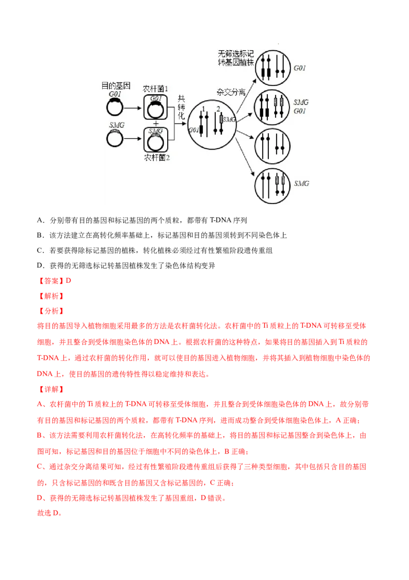 专题14生物技术与工程-三年（2020-2022）高考真题生物分项汇编（全国通用）（解析版）_高考真题分类汇编(2012-2022)生物_高考真题分项汇编(2020-2022)生物