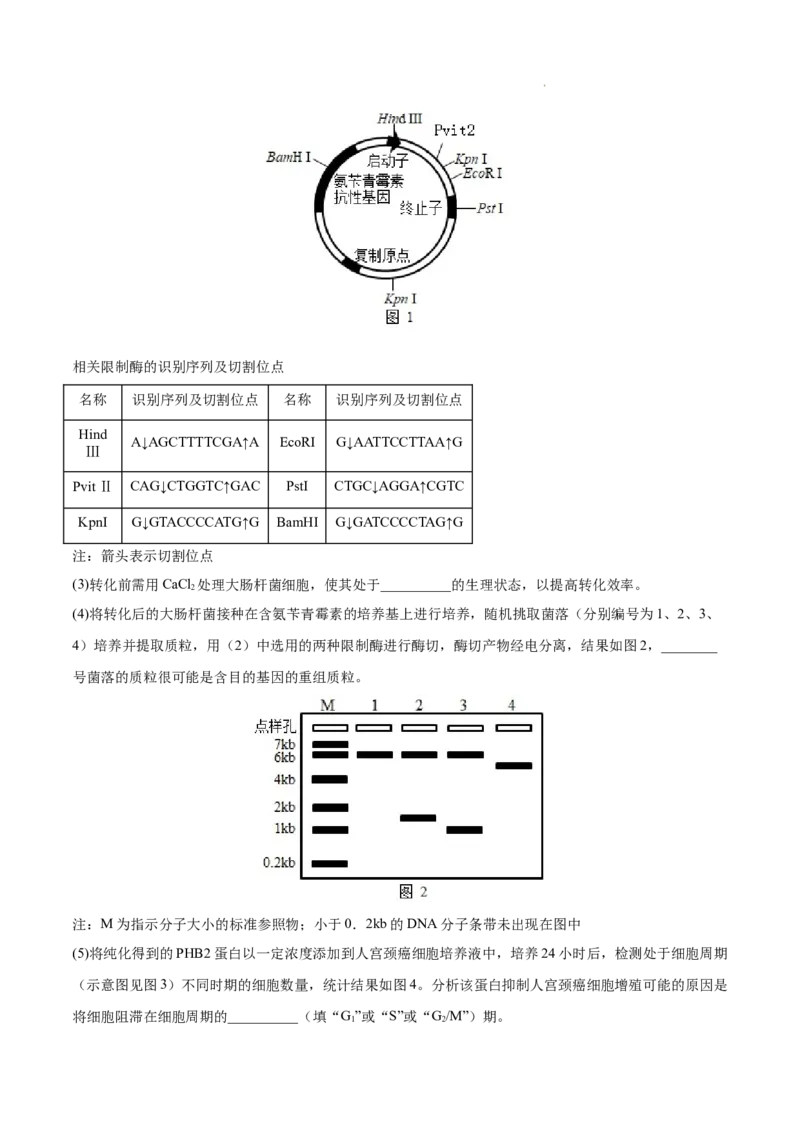 专题14生物技术与工程-三年（2020-2022）高考真题生物分项汇编（全国通用）（解析版）_高考真题分类汇编(2012-2022)生物_高考真题分项汇编(2020-2022)生物