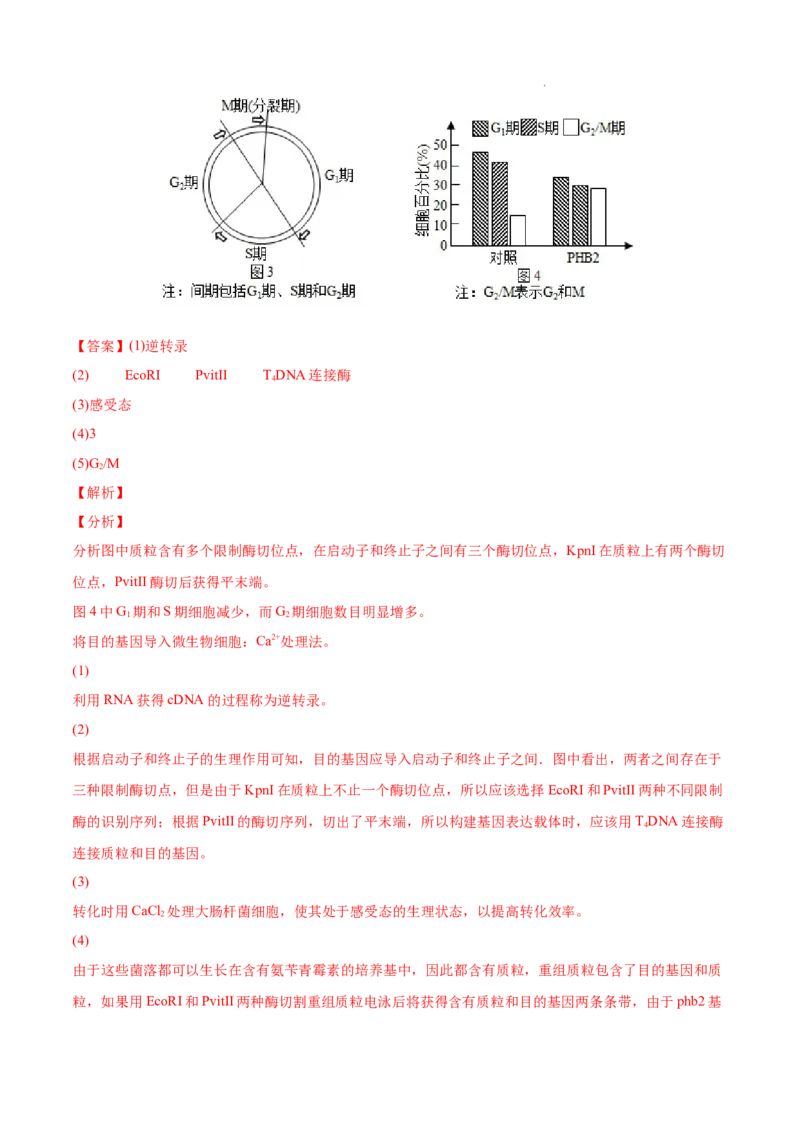 专题14生物技术与工程-三年（2020-2022）高考真题生物分项汇编（全国通用）（解析版）_高考真题分类汇编(2012-2022)生物_高考真题分项汇编(2020-2022)生物