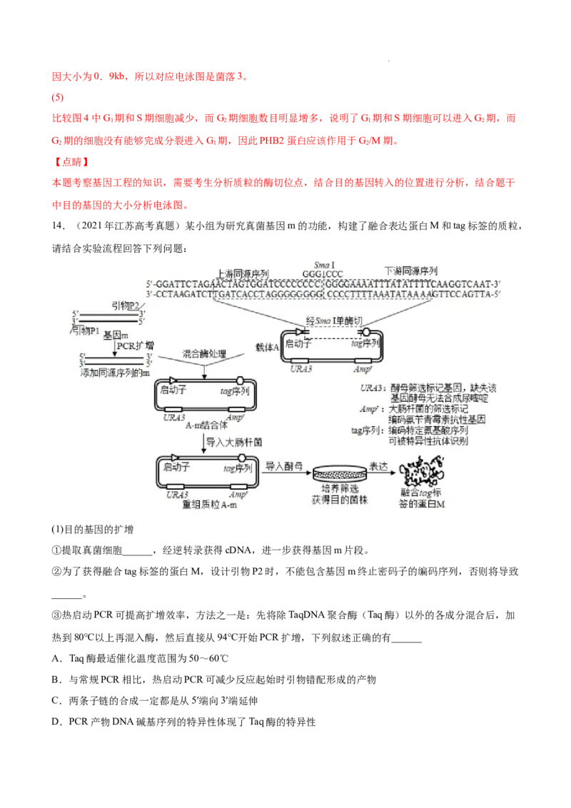 专题14生物技术与工程-三年（2020-2022）高考真题生物分项汇编（全国通用）（解析版）_高考真题分类汇编(2012-2022)生物_高考真题分项汇编(2020-2022)生物