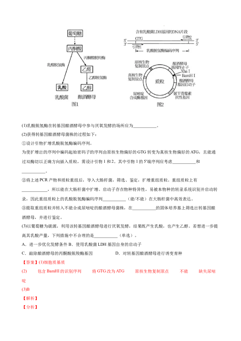 专题14生物技术与工程-三年（2020-2022）高考真题生物分项汇编（全国通用）（解析版）_高考真题分类汇编(2012-2022)生物_高考真题分项汇编(2020-2022)生物