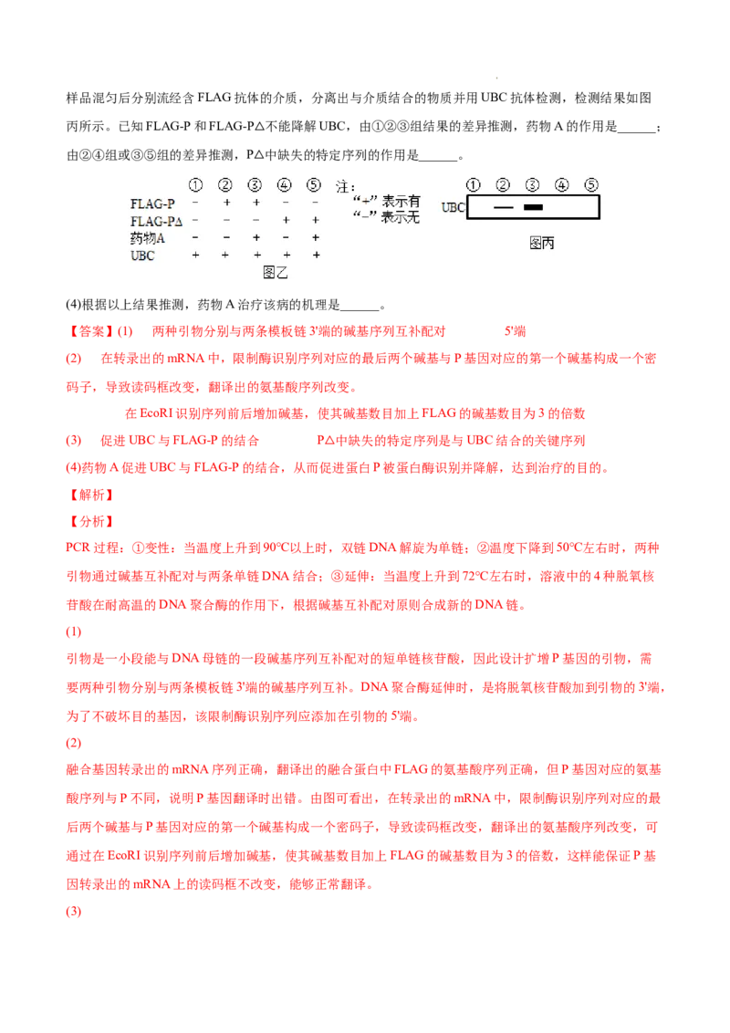 专题14生物技术与工程-三年（2020-2022）高考真题生物分项汇编（全国通用）（解析版）_高考真题分类汇编(2012-2022)生物_高考真题分项汇编(2020-2022)生物