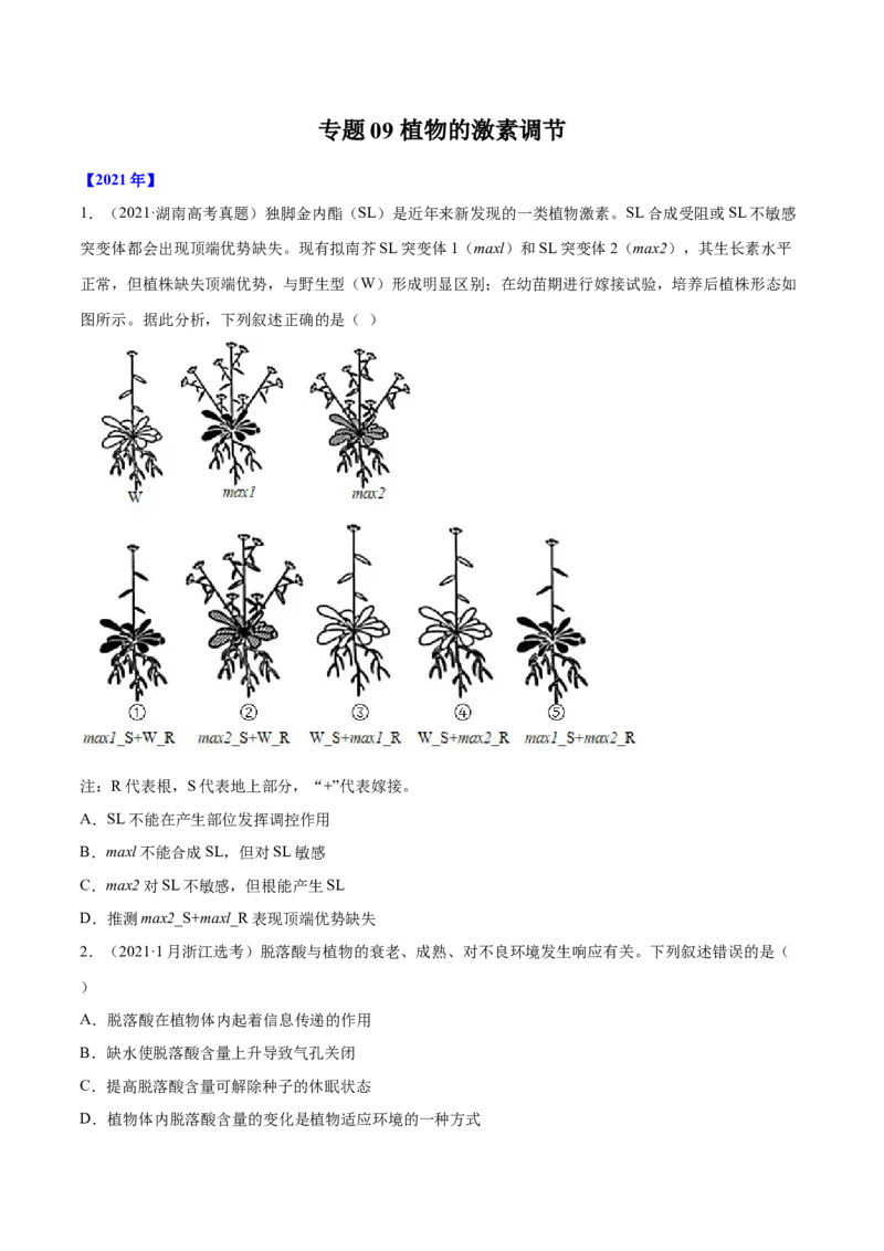 专题09植物的激素调节-十年（2012-2021）高考生物真题分项汇编（全国通用）（原卷版）_高考真题分类汇编(2012-2022)生物_高考真题分项汇编(2012-2021)生物