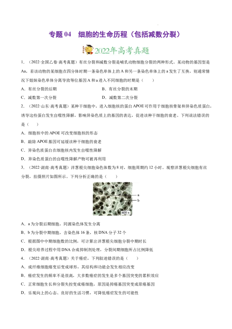 专题04细胞的生命历程（包括减数分裂）-三年（2020-2022）高考真题生物分项汇编（全国通用）（原卷版）_高考真题分类汇编(2012-2022)生物_高考真题分项汇编(2020-2022)生物