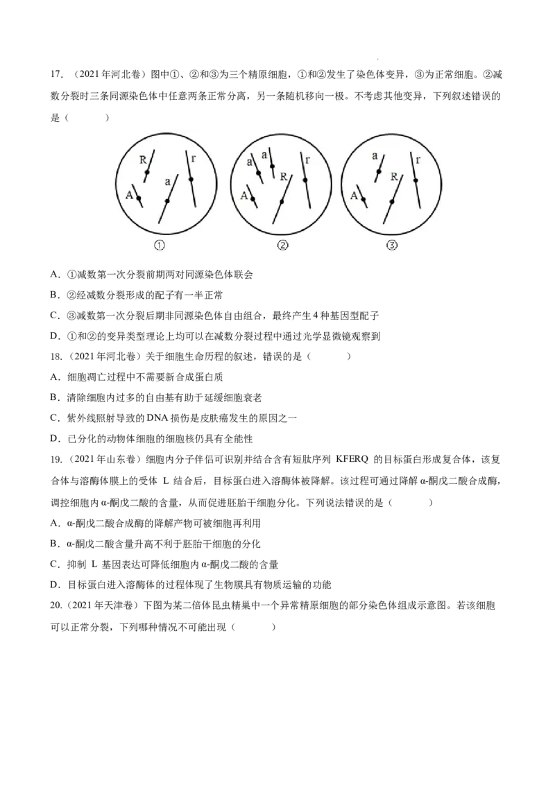 专题04细胞的生命历程（包括减数分裂）-三年（2020-2022）高考真题生物分项汇编（全国通用）（原卷版）_高考真题分类汇编(2012-2022)生物_高考真题分项汇编(2020-2022)生物