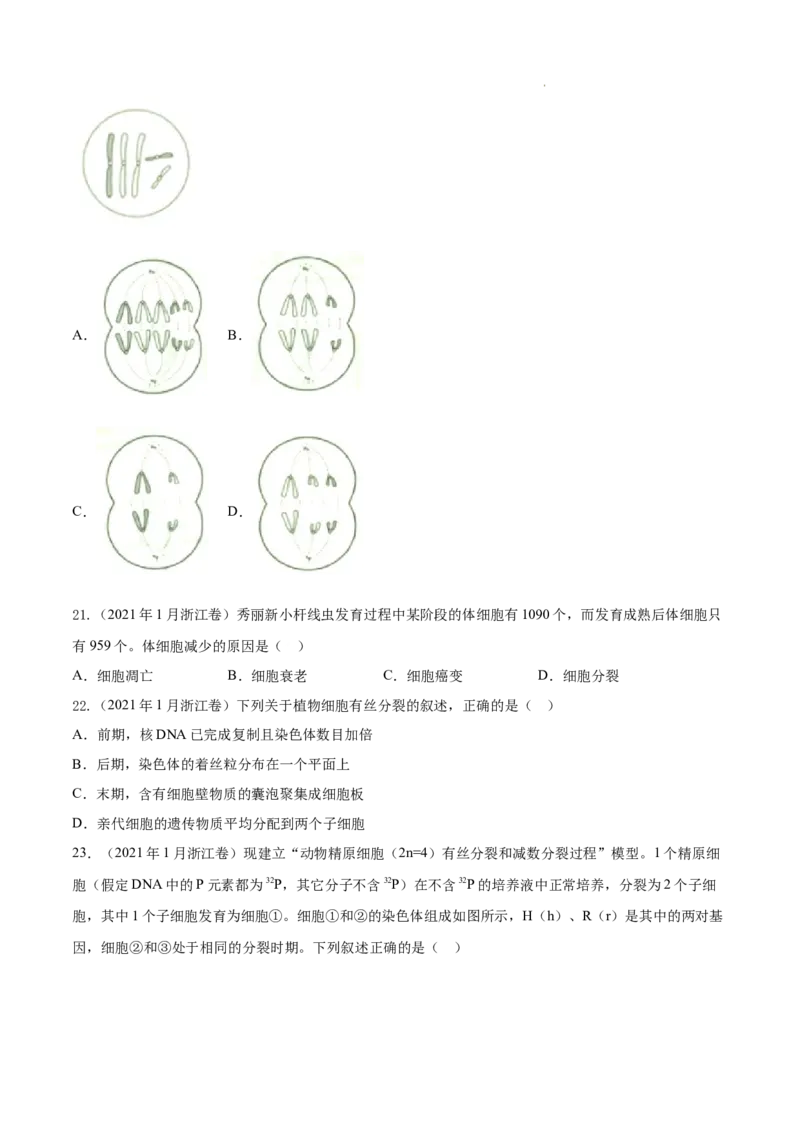 专题04细胞的生命历程（包括减数分裂）-三年（2020-2022）高考真题生物分项汇编（全国通用）（原卷版）_高考真题分类汇编(2012-2022)生物_高考真题分项汇编(2020-2022)生物