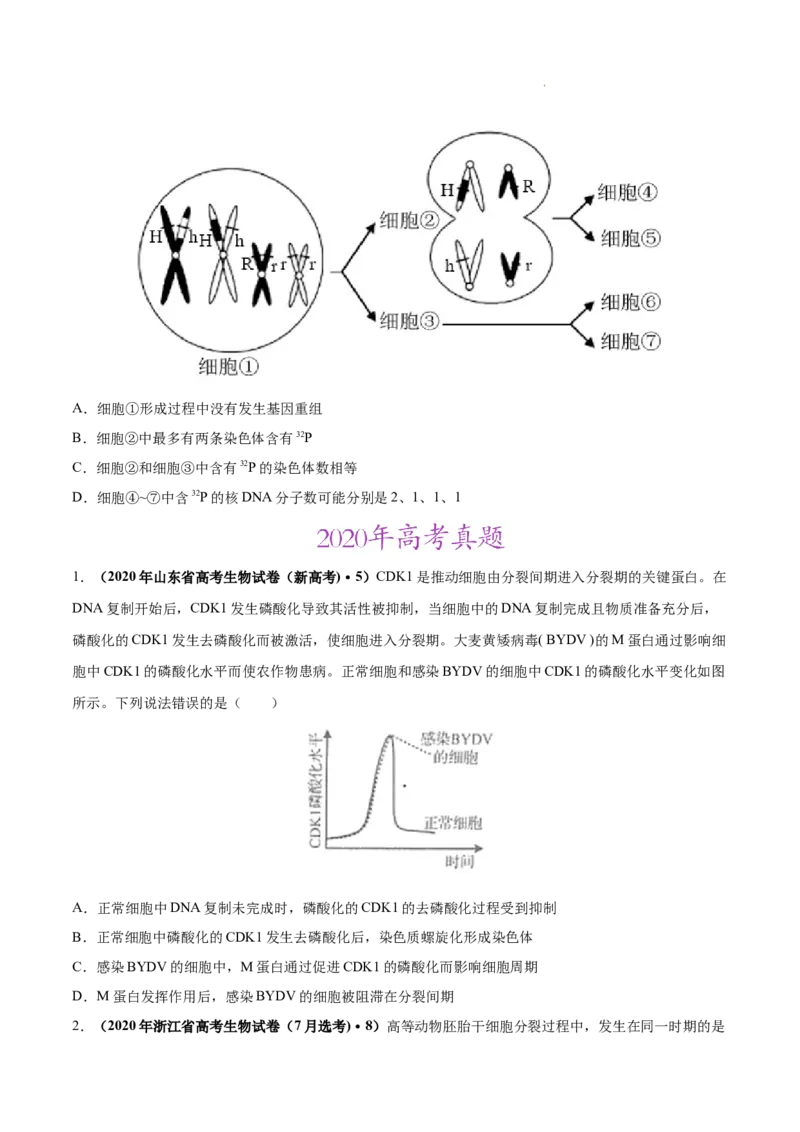 专题04细胞的生命历程（包括减数分裂）-三年（2020-2022）高考真题生物分项汇编（全国通用）（原卷版）_高考真题分类汇编(2012-2022)生物_高考真题分项汇编(2020-2022)生物