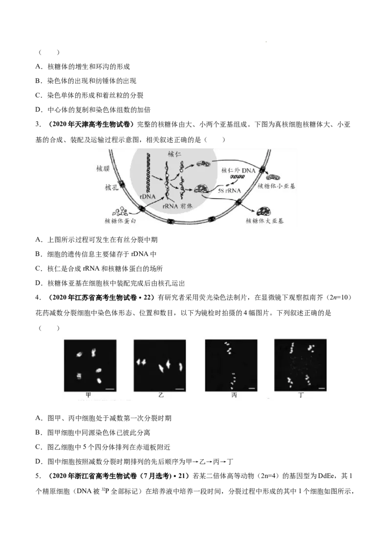 专题04细胞的生命历程（包括减数分裂）-三年（2020-2022）高考真题生物分项汇编（全国通用）（原卷版）_高考真题分类汇编(2012-2022)生物_高考真题分项汇编(2020-2022)生物