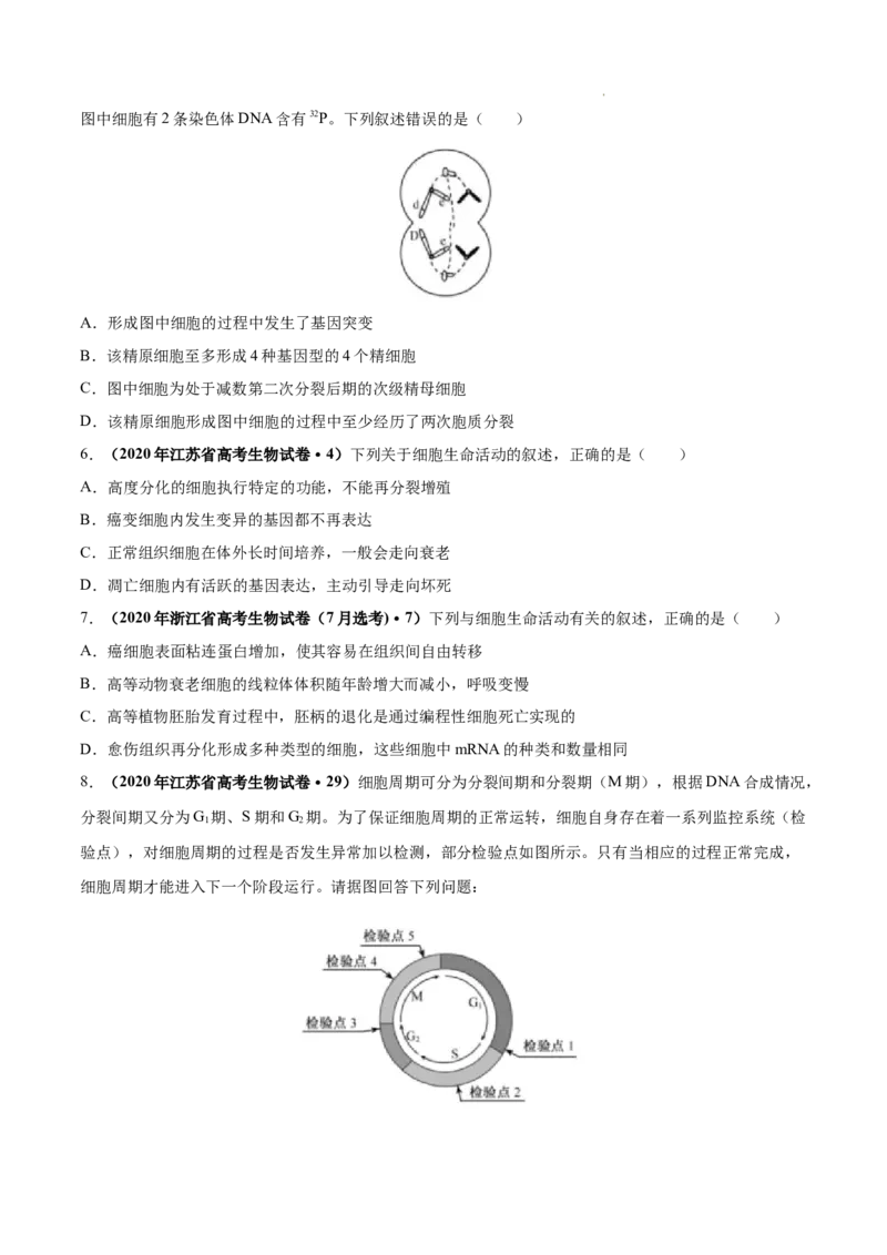 专题04细胞的生命历程（包括减数分裂）-三年（2020-2022）高考真题生物分项汇编（全国通用）（原卷版）_高考真题分类汇编(2012-2022)生物_高考真题分项汇编(2020-2022)生物