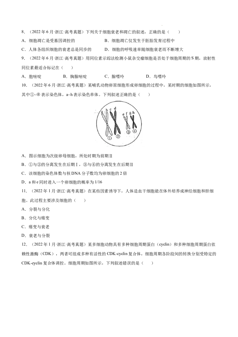 专题04细胞的生命历程（包括减数分裂）-三年（2020-2022）高考真题生物分项汇编（全国通用）（原卷版）_高考真题分类汇编(2012-2022)生物_高考真题分项汇编(2020-2022)生物