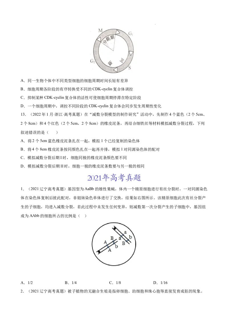 专题04细胞的生命历程（包括减数分裂）-三年（2020-2022）高考真题生物分项汇编（全国通用）（原卷版）_高考真题分类汇编(2012-2022)生物_高考真题分项汇编(2020-2022)生物