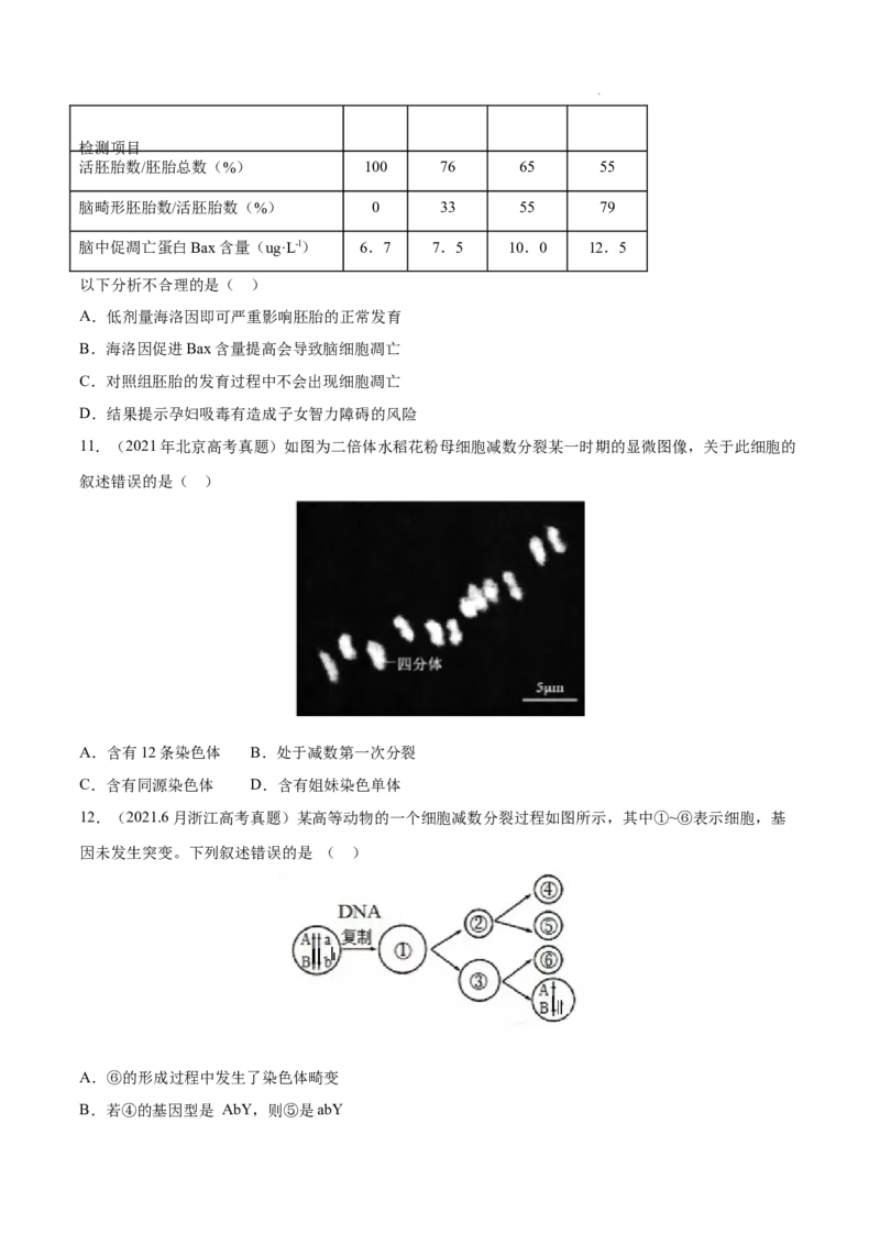 专题04细胞的生命历程（包括减数分裂）-三年（2020-2022）高考真题生物分项汇编（全国通用）（原卷版）_高考真题分类汇编(2012-2022)生物_高考真题分项汇编(2020-2022)生物