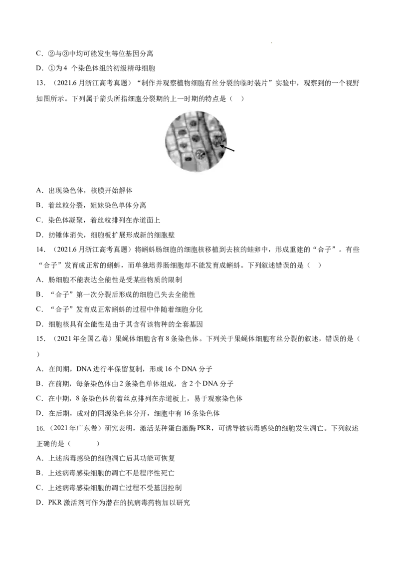 专题04细胞的生命历程（包括减数分裂）-三年（2020-2022）高考真题生物分项汇编（全国通用）（原卷版）_高考真题分类汇编(2012-2022)生物_高考真题分项汇编(2020-2022)生物