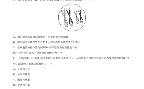 专题04细胞的生命历程（包括减数分裂）-三年（2020-2022）高考真题生物分项汇编（全国通用）（原卷版）_高考真题分类汇编(2012-2022)生物_高考真题分项汇编(2020-2022)生物