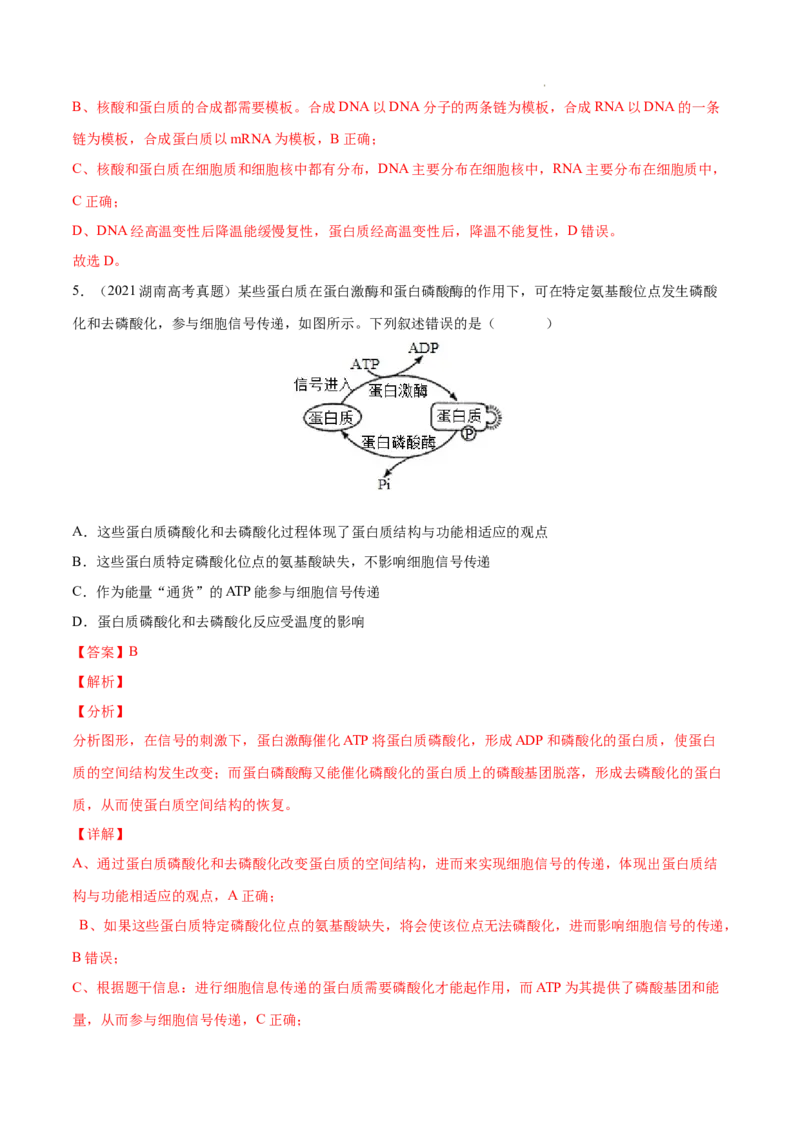 专题01细胞的分子组成以及结构和功能-三年（2020-2022）高考真题生物分项汇编（全国通用）（解析版）_高考真题分类汇编(2012-2022)生物_高考真题分项汇编(2020-2022)生物