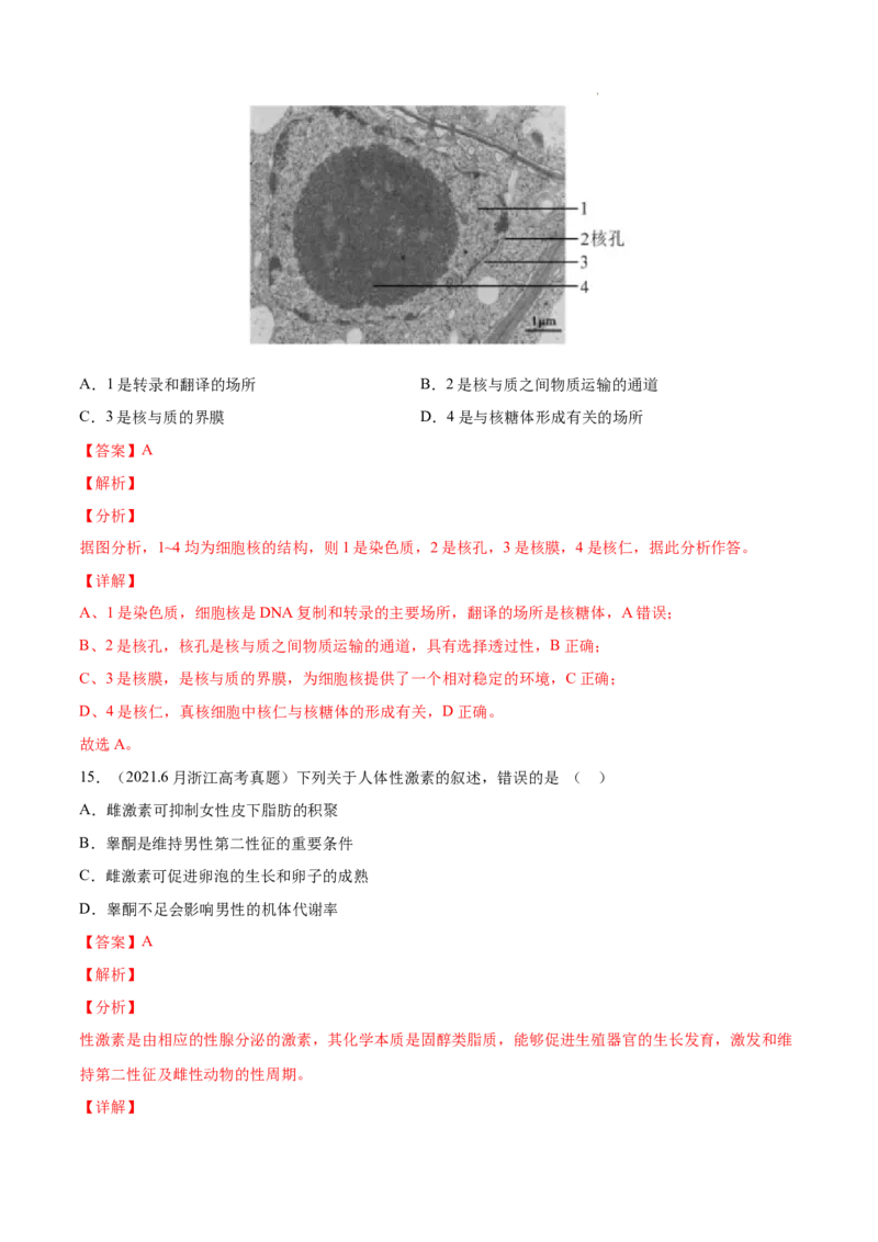 专题01细胞的分子组成以及结构和功能-三年（2020-2022）高考真题生物分项汇编（全国通用）（解析版）_高考真题分类汇编(2012-2022)生物_高考真题分项汇编(2020-2022)生物