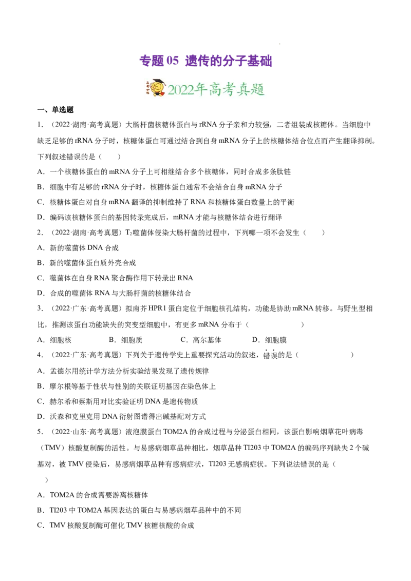 专题05遗传的分子基础-三年（2020-2022）高考真题生物分项汇编（全国通用）（原卷版）_高考真题分类汇编(2012-2022)生物_高考真题分项汇编(2020-2022)生物