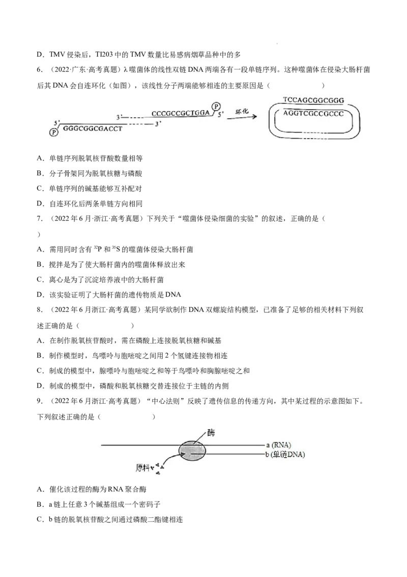 专题05遗传的分子基础-三年（2020-2022）高考真题生物分项汇编（全国通用）（原卷版）_高考真题分类汇编(2012-2022)生物_高考真题分项汇编(2020-2022)生物