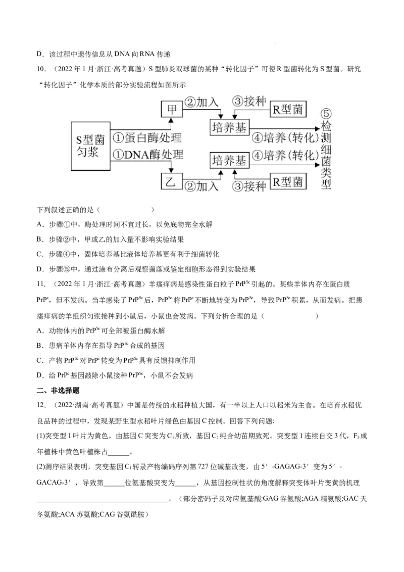 专题05遗传的分子基础-三年（2020-2022）高考真题生物分项汇编（全国通用）（原卷版）_高考真题分类汇编(2012-2022)生物_高考真题分项汇编(2020-2022)生物