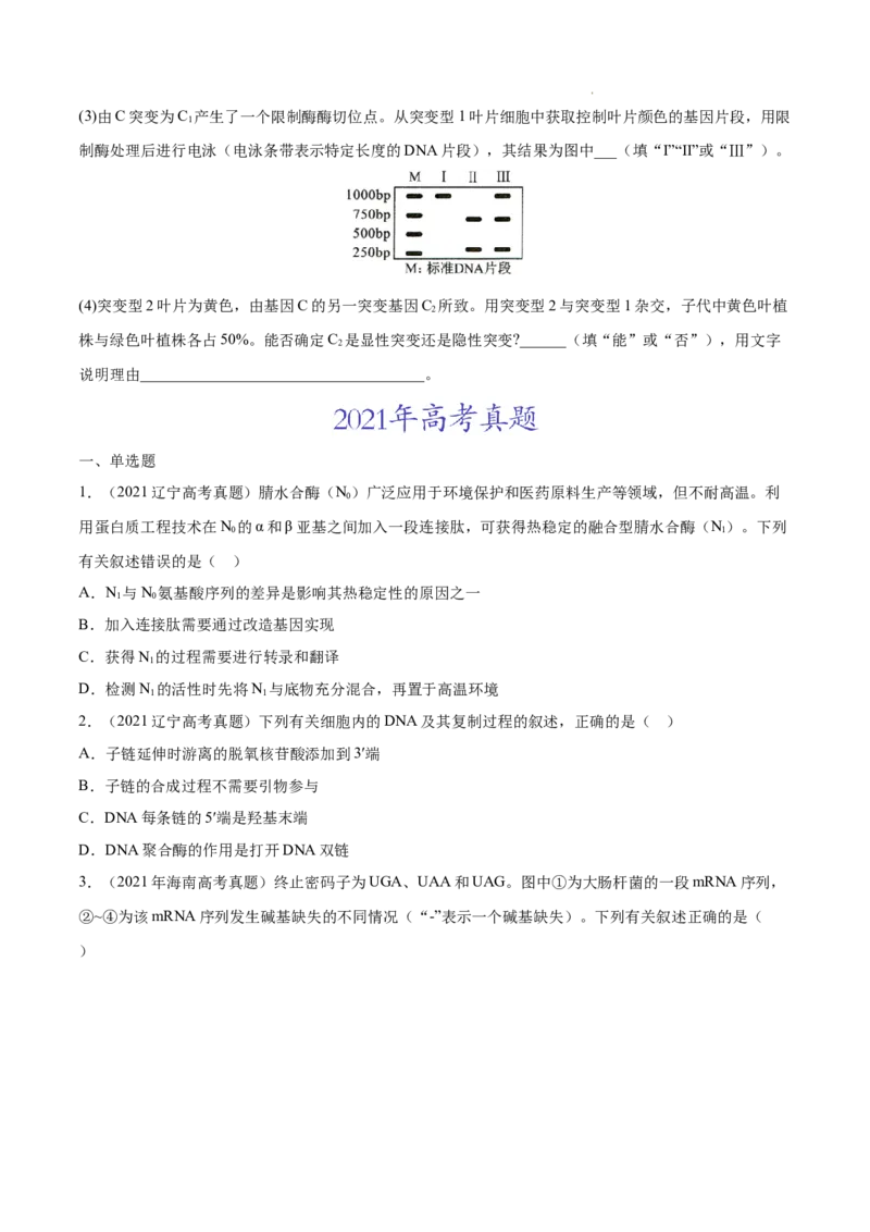 专题05遗传的分子基础-三年（2020-2022）高考真题生物分项汇编（全国通用）（原卷版）_高考真题分类汇编(2012-2022)生物_高考真题分项汇编(2020-2022)生物