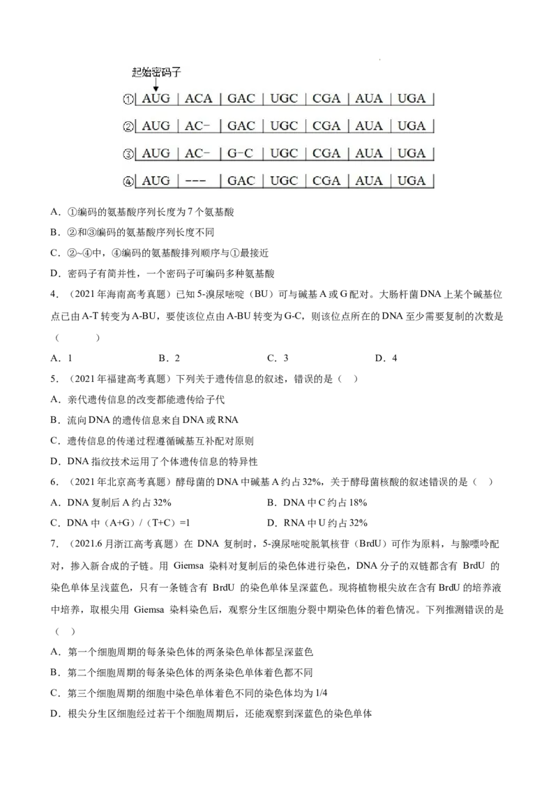 专题05遗传的分子基础-三年（2020-2022）高考真题生物分项汇编（全国通用）（原卷版）_高考真题分类汇编(2012-2022)生物_高考真题分项汇编(2020-2022)生物