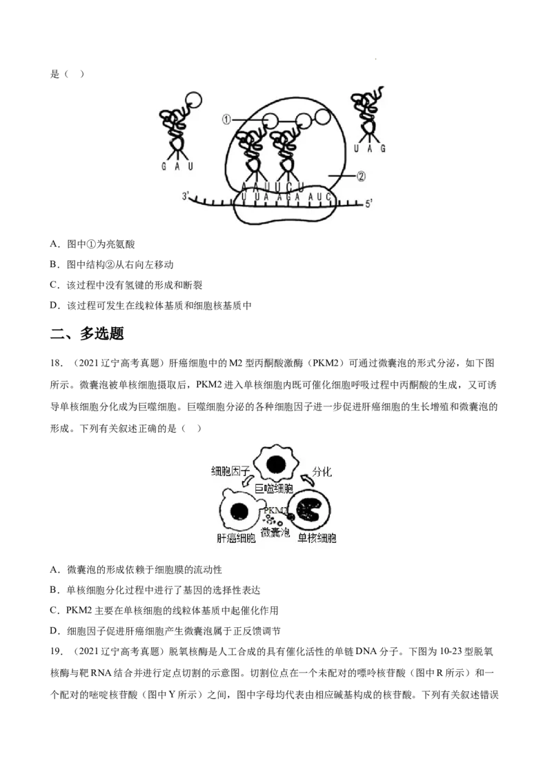 专题05遗传的分子基础-三年（2020-2022）高考真题生物分项汇编（全国通用）（原卷版）_高考真题分类汇编(2012-2022)生物_高考真题分项汇编(2020-2022)生物