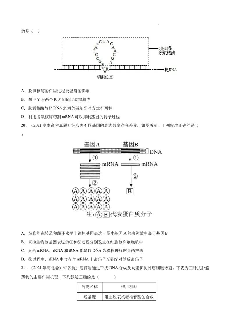 专题05遗传的分子基础-三年（2020-2022）高考真题生物分项汇编（全国通用）（原卷版）_高考真题分类汇编(2012-2022)生物_高考真题分项汇编(2020-2022)生物