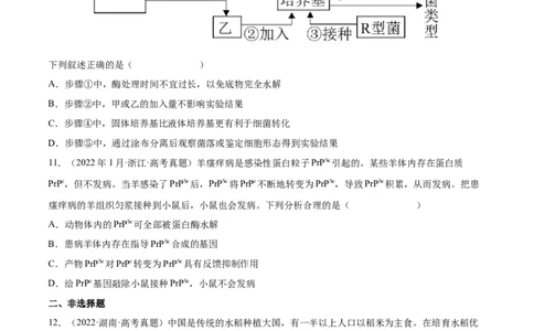专题05遗传的分子基础-三年（2020-2022）高考真题生物分项汇编（全国通用）（原卷版）_高考真题分类汇编(2012-2022)生物_高考真题分项汇编(2020-2022)生物