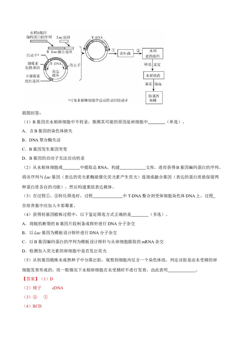 专题12现代生物科技专题-十年（2012-2021）高考生物真题分项汇编（全国通用）（解析版）_高考真题分类汇编(2012-2022)生物_高考真题分项汇编(2012-2021)生物