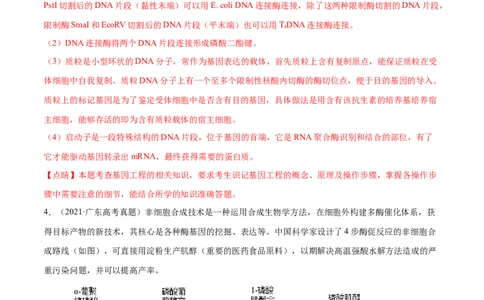 专题12现代生物科技专题-十年（2012-2021）高考生物真题分项汇编（全国通用）（解析版）_高考真题分类汇编(2012-2022)生物_高考真题分项汇编(2012-2021)生物