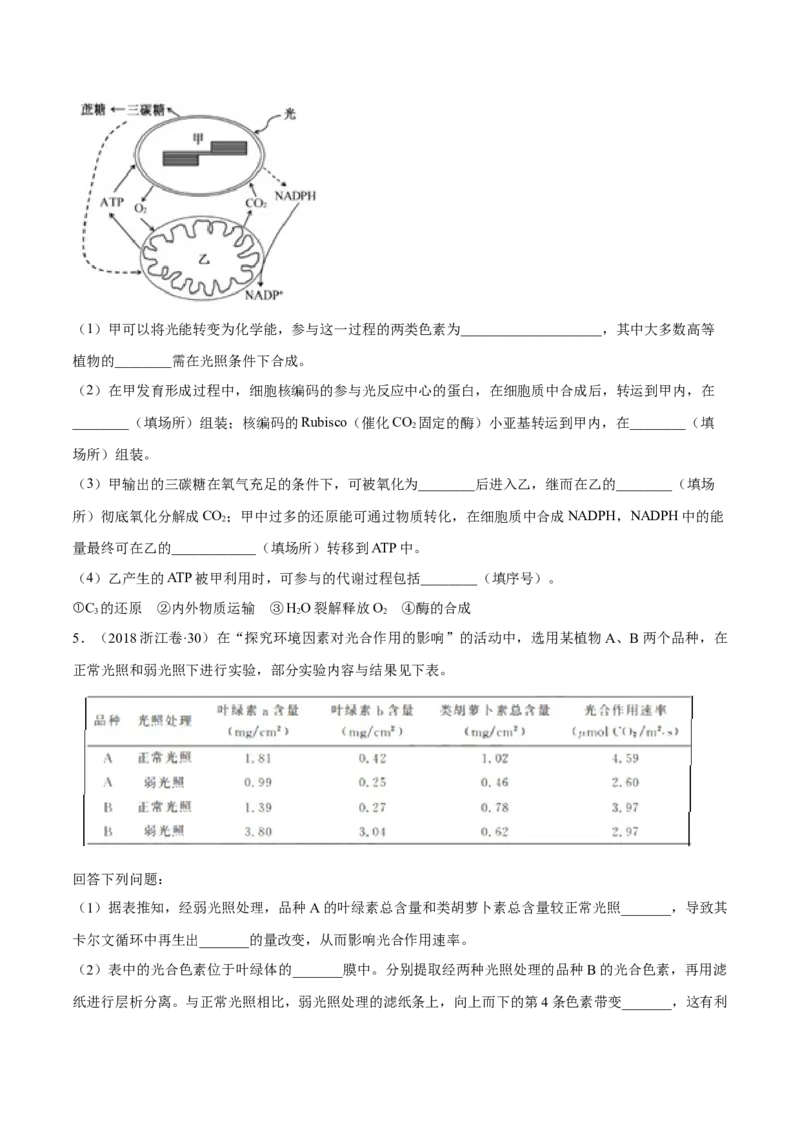 专题14光合作用与呼吸作用综合-十年（2012-2021）高考生物真题分项汇编（全国通用）（原卷版）_高考真题分类汇编(2012-2022)生物_高考真题分项汇编(2012-2021)生物