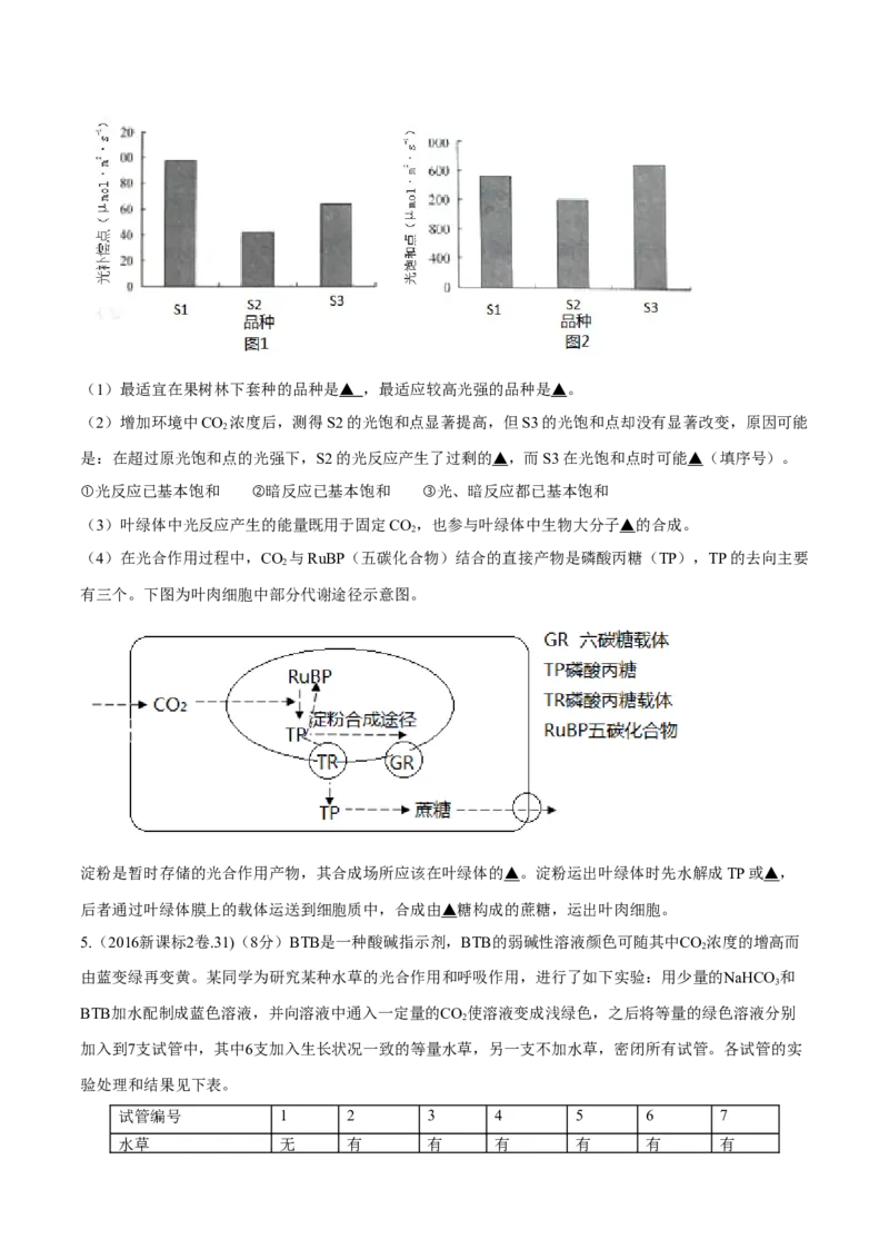 专题14光合作用与呼吸作用综合-十年（2012-2021）高考生物真题分项汇编（全国通用）（原卷版）_高考真题分类汇编(2012-2022)生物_高考真题分项汇编(2012-2021)生物