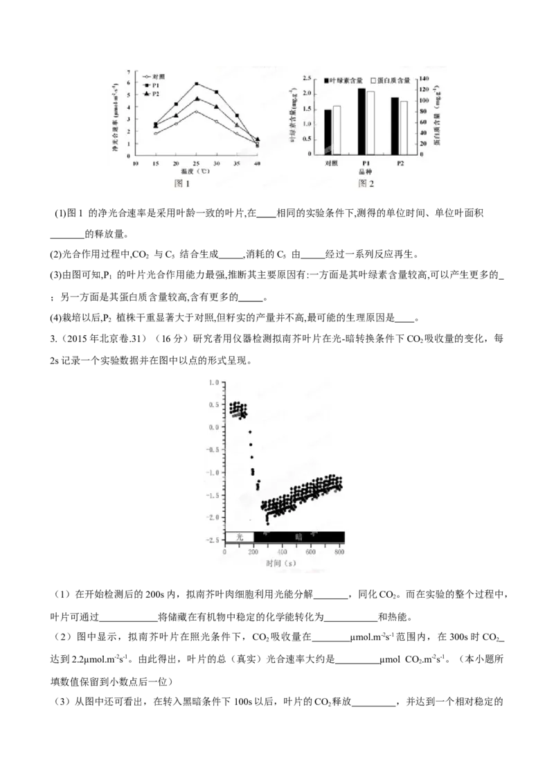 专题14光合作用与呼吸作用综合-十年（2012-2021）高考生物真题分项汇编（全国通用）（原卷版）_高考真题分类汇编(2012-2022)生物_高考真题分项汇编(2012-2021)生物