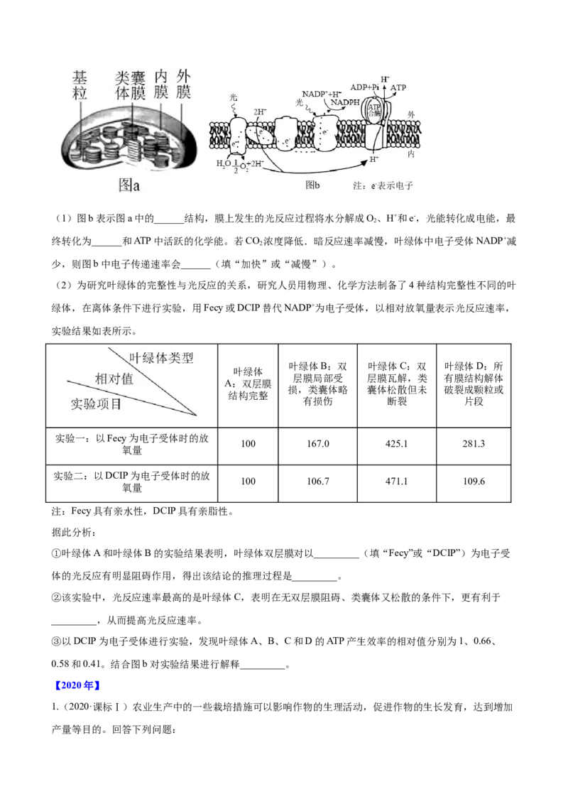 专题14光合作用与呼吸作用综合-十年（2012-2021）高考生物真题分项汇编（全国通用）（原卷版）_高考真题分类汇编(2012-2022)生物_高考真题分项汇编(2012-2021)生物