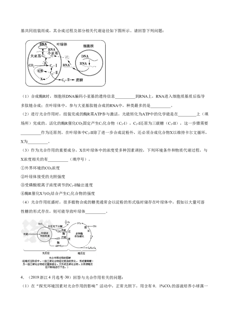 专题14光合作用与呼吸作用综合-十年（2012-2021）高考生物真题分项汇编（全国通用）（原卷版）_高考真题分类汇编(2012-2022)生物_高考真题分项汇编(2012-2021)生物