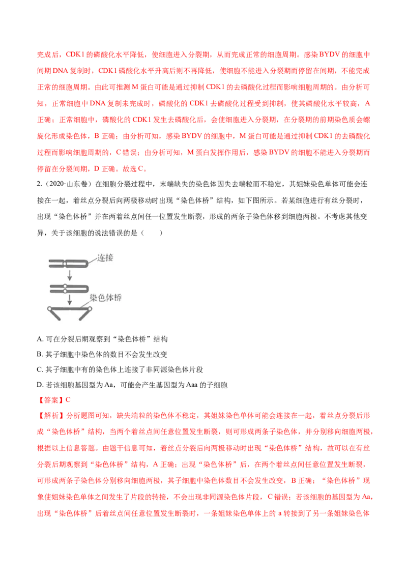专题03细胞的生命历程-十年（2012-2021）高考生物真题分项汇编（全国通用）（解析版）_高考真题分类汇编(2012-2022)生物_高考真题分项汇编(2012-2021)生物