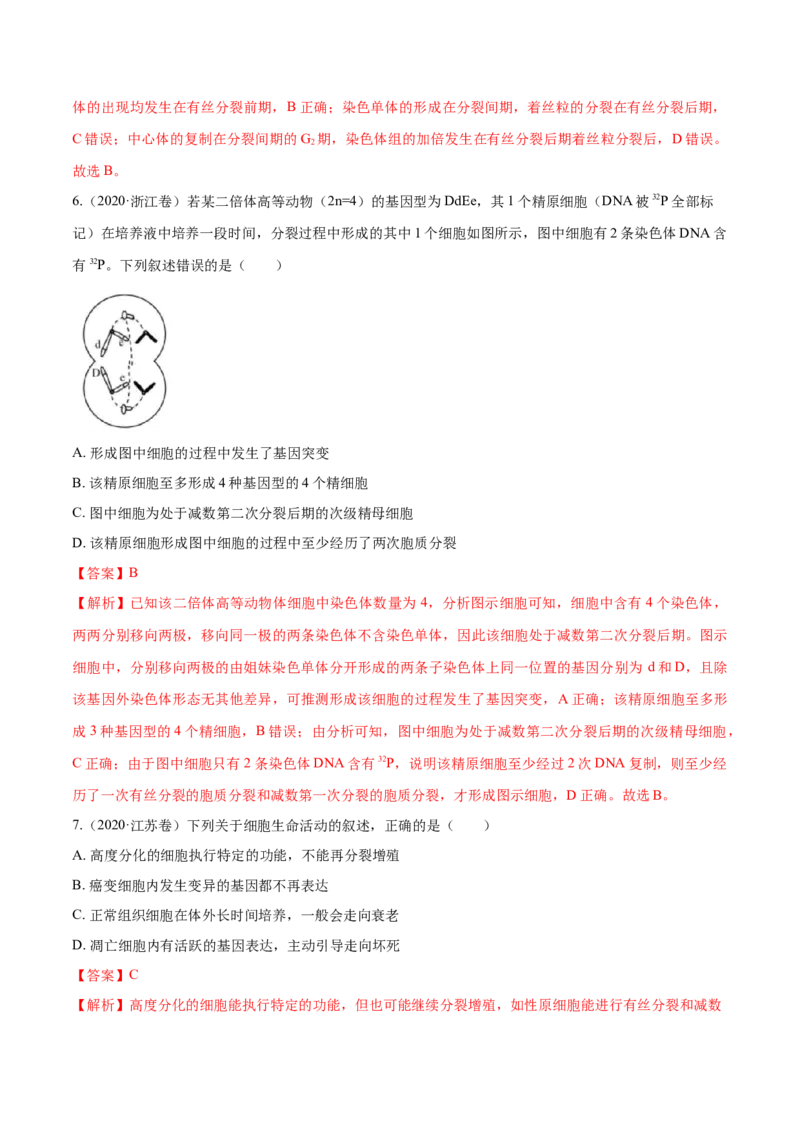 专题03细胞的生命历程-十年（2012-2021）高考生物真题分项汇编（全国通用）（解析版）_高考真题分类汇编(2012-2022)生物_高考真题分项汇编(2012-2021)生物
