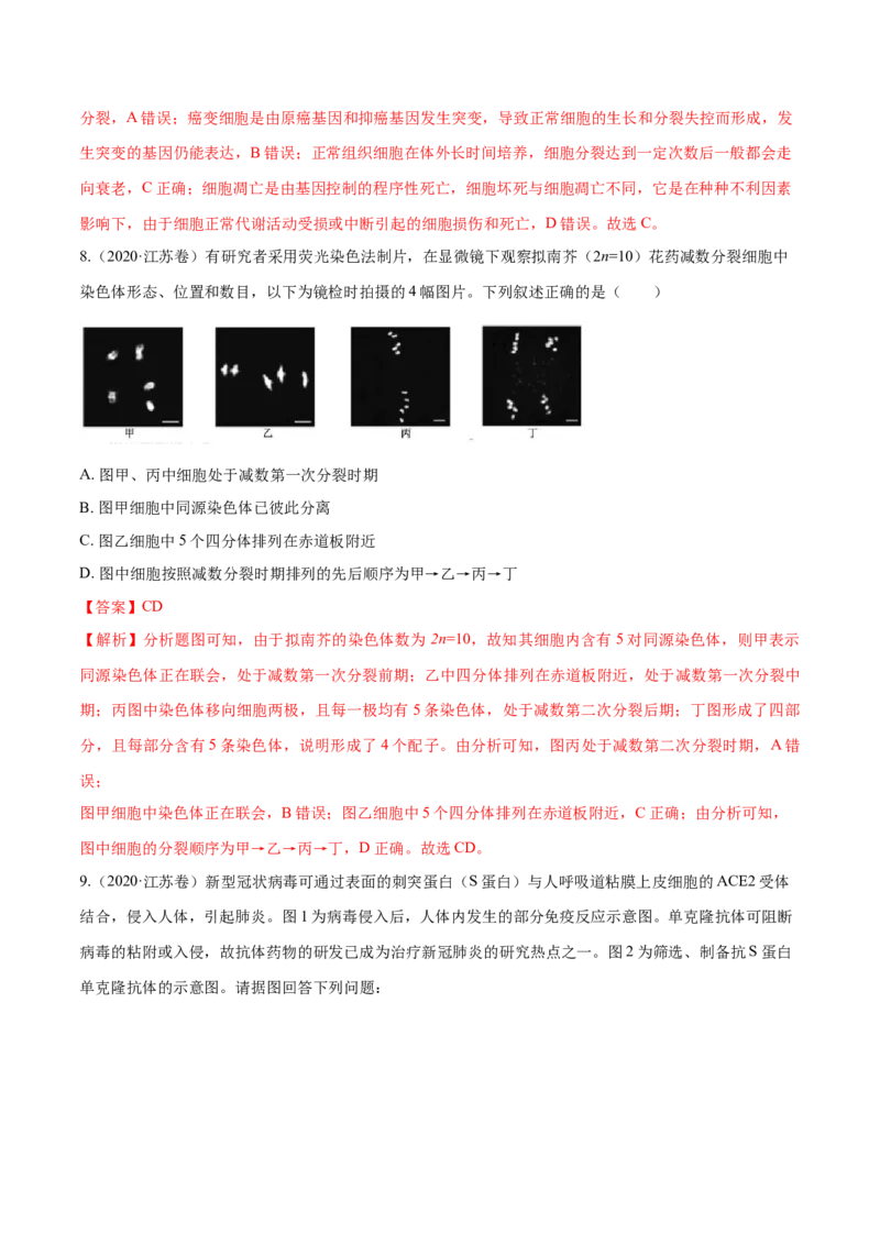 专题03细胞的生命历程-十年（2012-2021）高考生物真题分项汇编（全国通用）（解析版）_高考真题分类汇编(2012-2022)生物_高考真题分项汇编(2012-2021)生物
