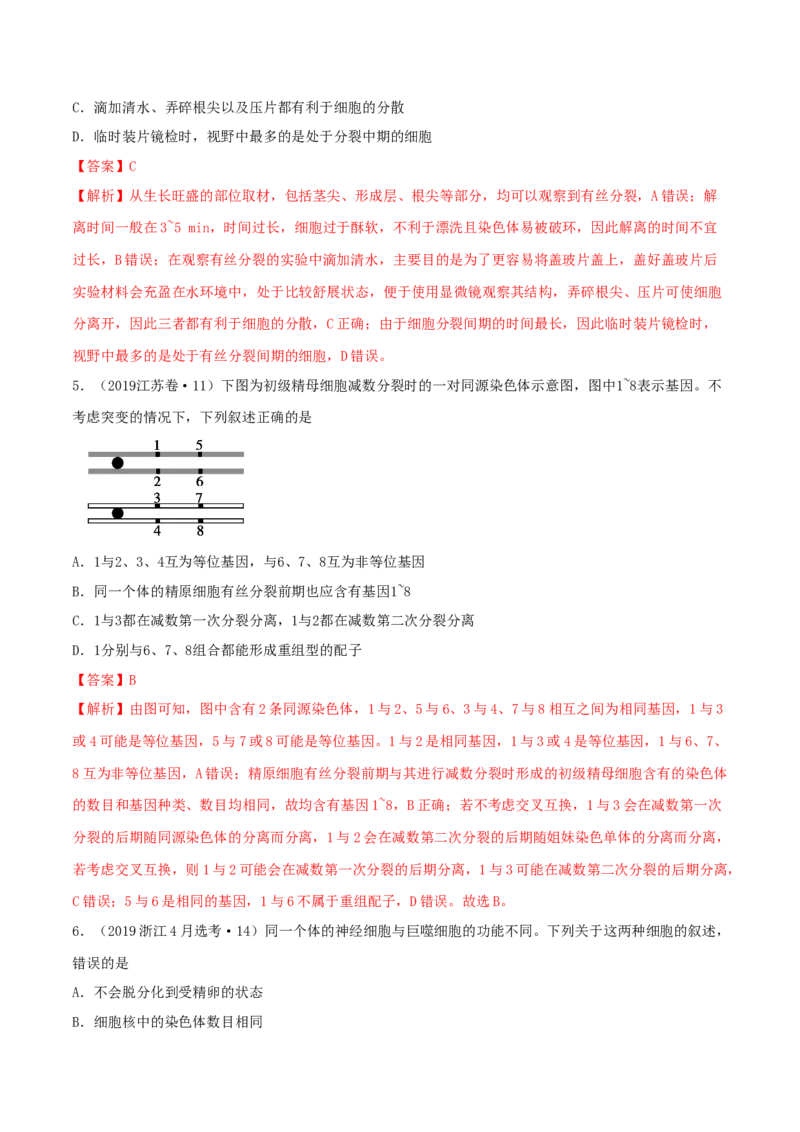 专题03细胞的生命历程-十年（2012-2021）高考生物真题分项汇编（全国通用）（解析版）_高考真题分类汇编(2012-2022)生物_高考真题分项汇编(2012-2021)生物