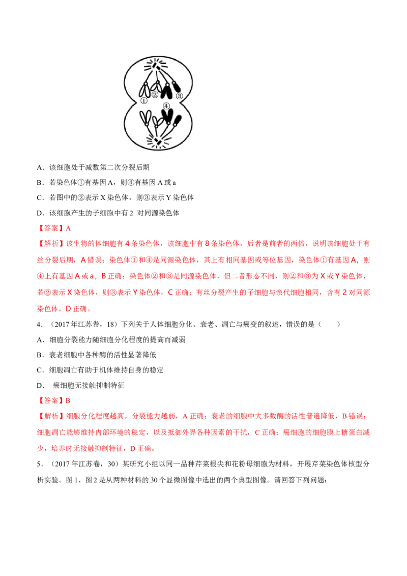 专题03细胞的生命历程-十年（2012-2021）高考生物真题分项汇编（全国通用）（解析版）_高考真题分类汇编(2012-2022)生物_高考真题分项汇编(2012-2021)生物