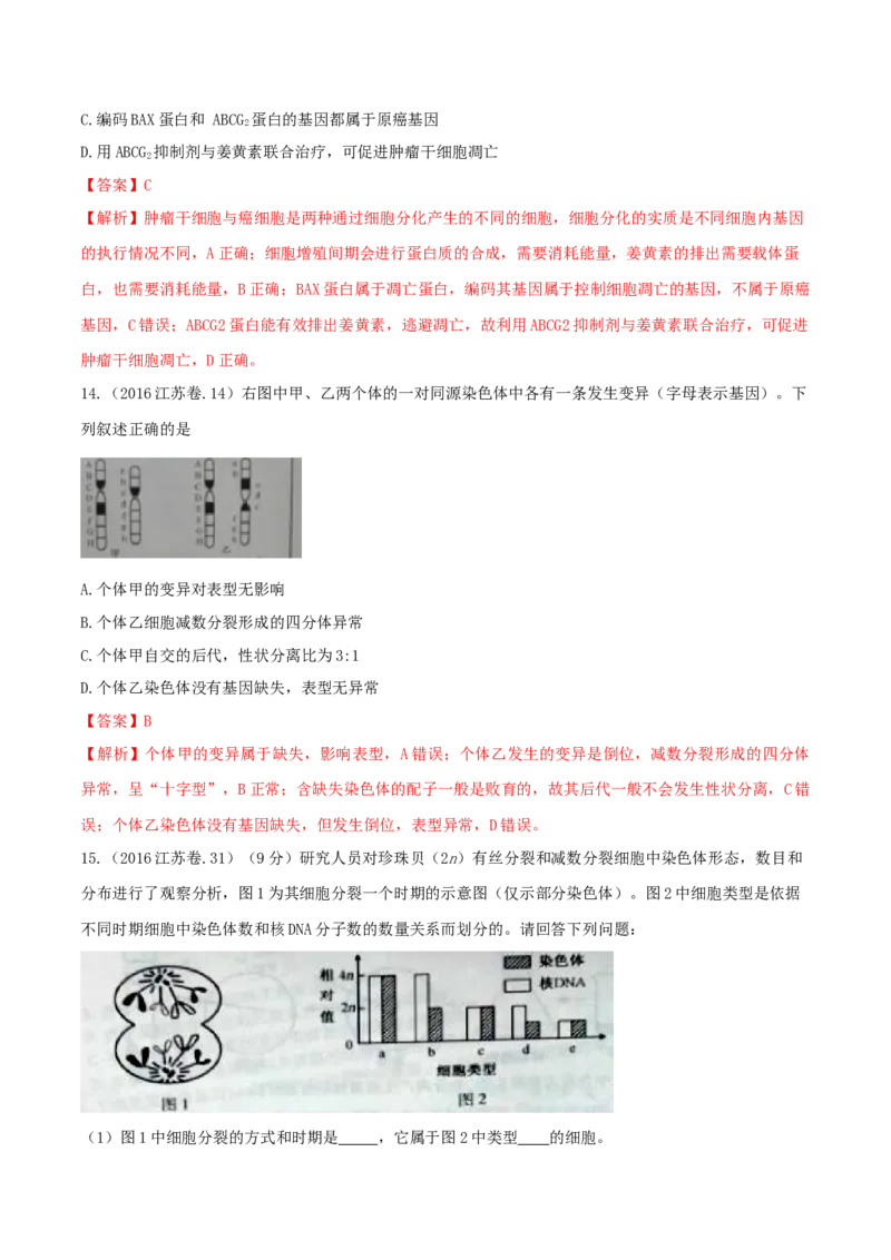 专题03细胞的生命历程-十年（2012-2021）高考生物真题分项汇编（全国通用）（解析版）_高考真题分类汇编(2012-2022)生物_高考真题分项汇编(2012-2021)生物
