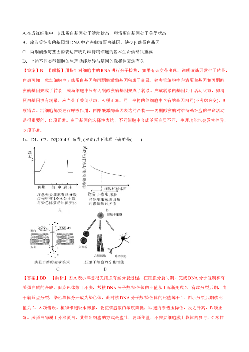 专题03细胞的生命历程-十年（2012-2021）高考生物真题分项汇编（全国通用）（解析版）_高考真题分类汇编(2012-2022)生物_高考真题分项汇编(2012-2021)生物