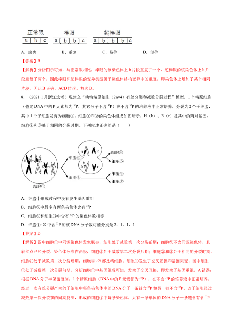 专题03细胞的生命历程-十年（2012-2021）高考生物真题分项汇编（全国通用）（解析版）_高考真题分类汇编(2012-2022)生物_高考真题分项汇编(2012-2021)生物