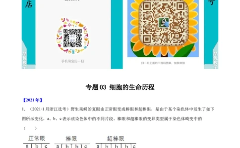 专题03细胞的生命历程-十年（2012-2021）高考生物真题分项汇编（全国通用）（解析版）_高考真题分类汇编(2012-2022)生物_高考真题分项汇编(2012-2021)生物