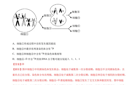 专题03细胞的生命历程-十年（2012-2021）高考生物真题分项汇编（全国通用）（解析版）_高考真题分类汇编(2012-2022)生物_高考真题分项汇编(2012-2021)生物
