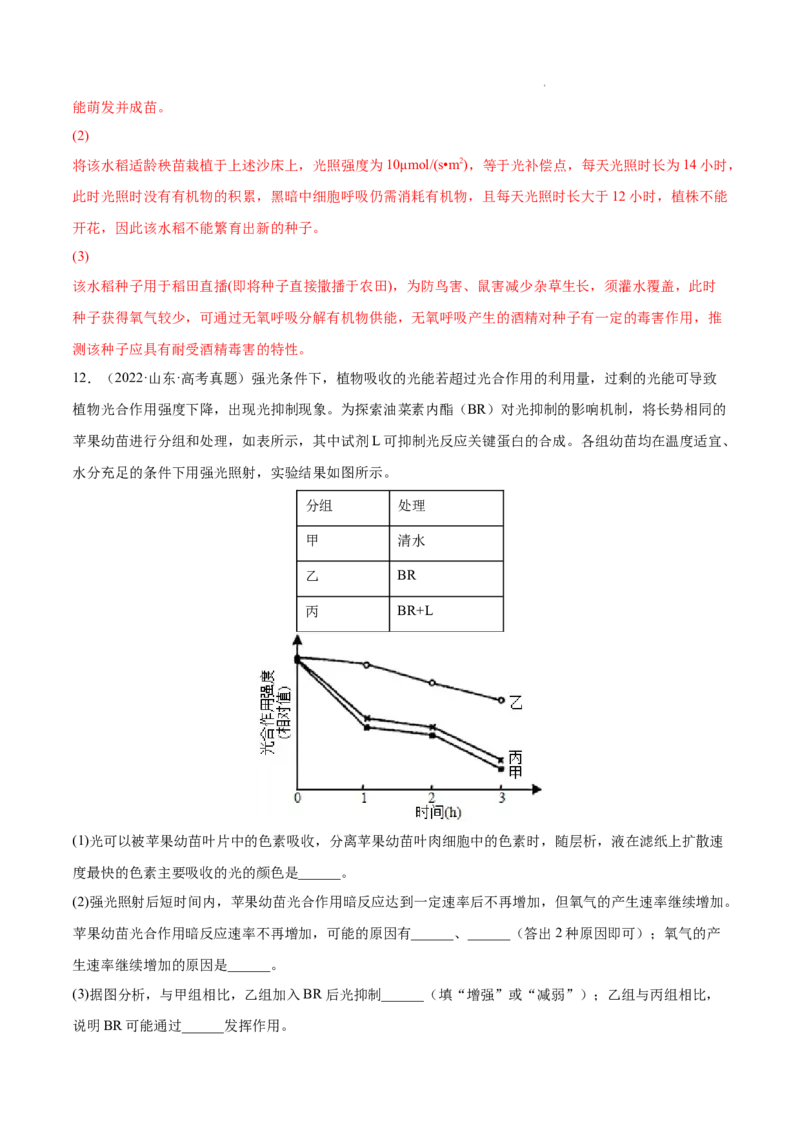 专题03光合作用和细胞呼吸-三年（2020-2022）高考真题生物分项汇编（全国通用）（解析版）_高考真题分类汇编(2012-2022)生物_高考真题分项汇编(2020-2022)生物